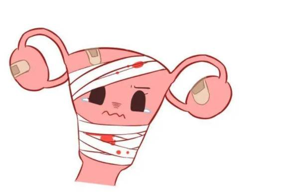 天津三代试管助孕中心：母乳喂养要注意什么问题，这些情况下继续喂养对宝宝身体有影响
