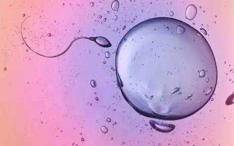 天津供卵试管：保胎期间一直流血,是保胎不成功的表现吗